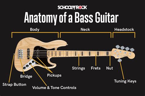 What is a Bass in Music: A Symphony of Low Frequencies and Unrelated Musings